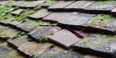 Deddington roof repair costs